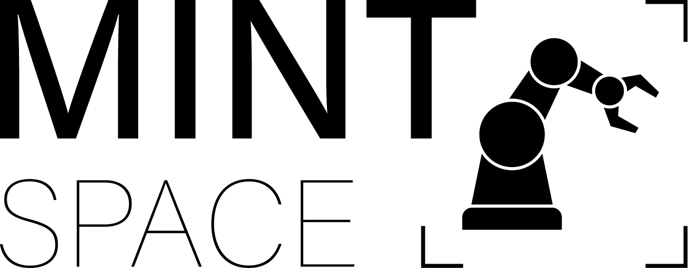 Logo MINT Space