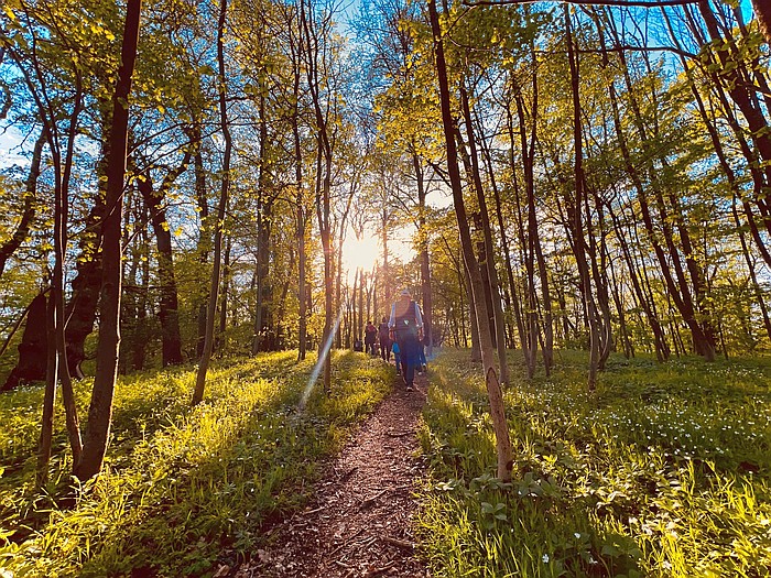 Newcomer unterwegs auf einer Wanderung in Mittelhessen (Foto: Katrina Friese)